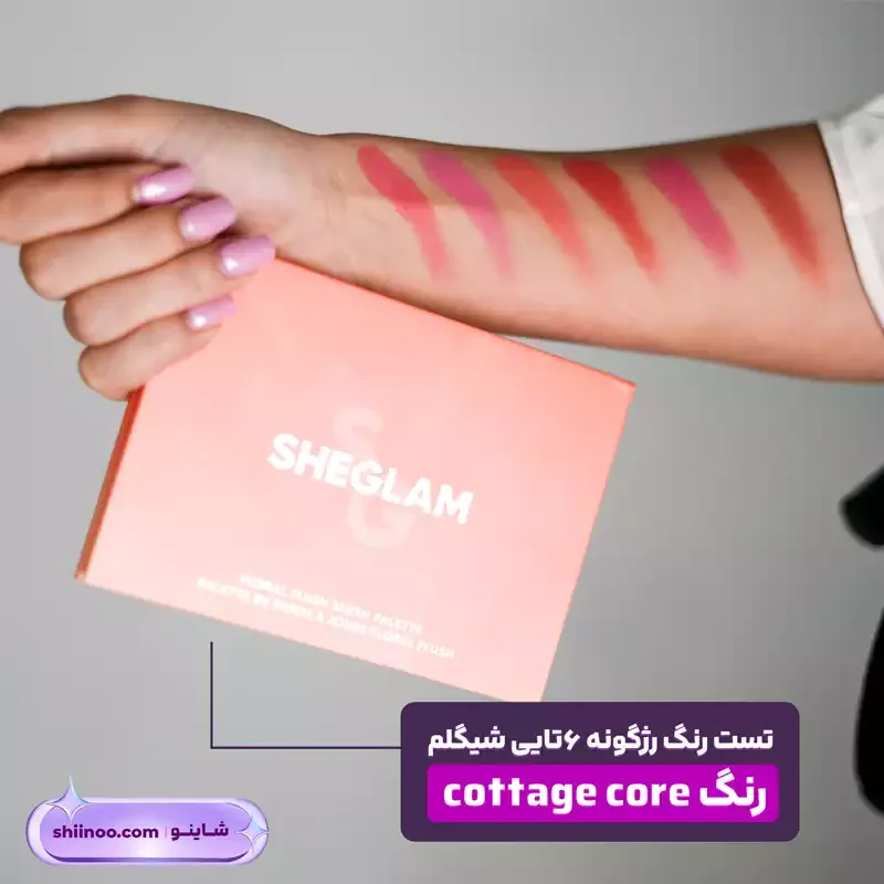 تست رنگ رژگونه 6 تایی شیگلم