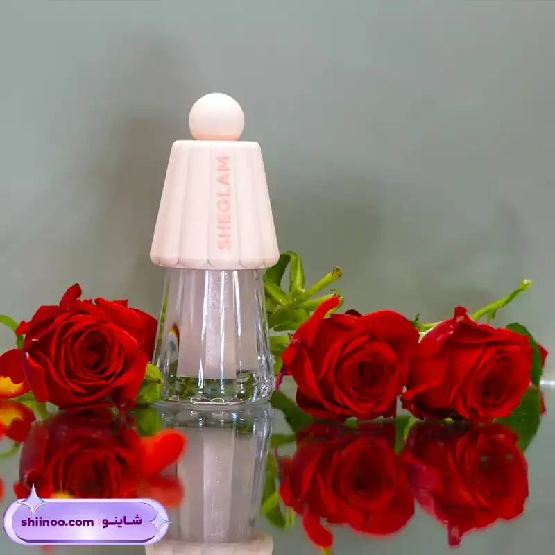 لیپ اویل شیگلم