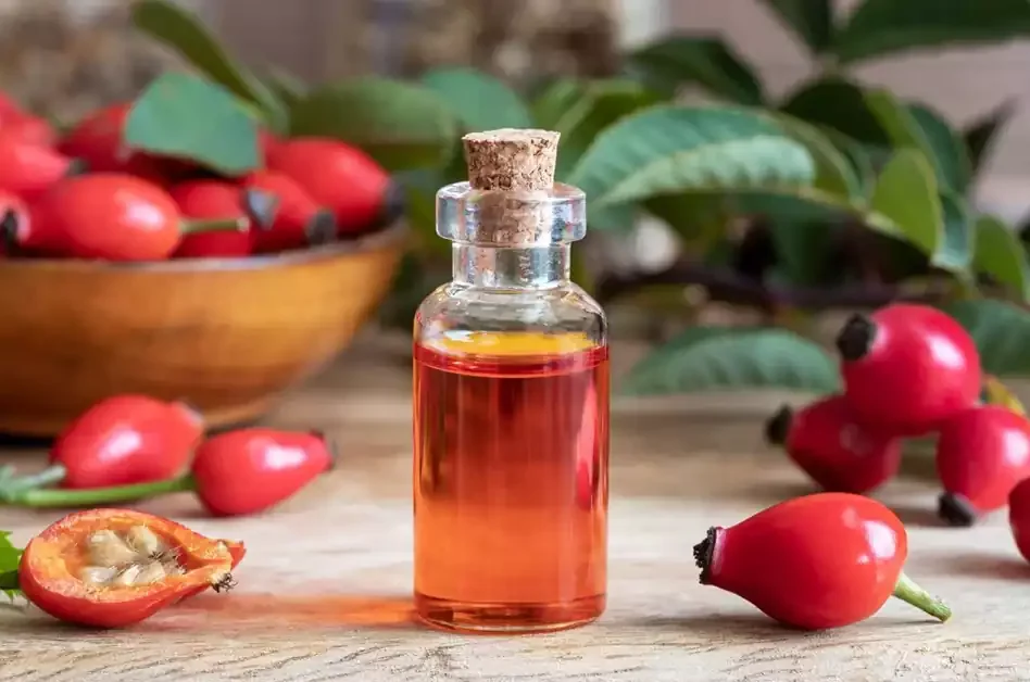 روغن دانه گل رز چیست