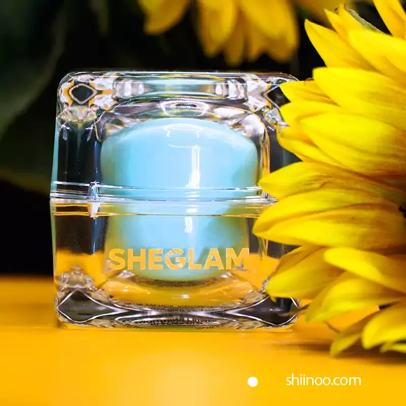 پرایمر یخی شیگلم