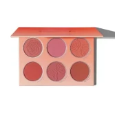 رژ گونه 6 تایی شیگلم