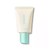 پرایمر منافذ باز شیگلم