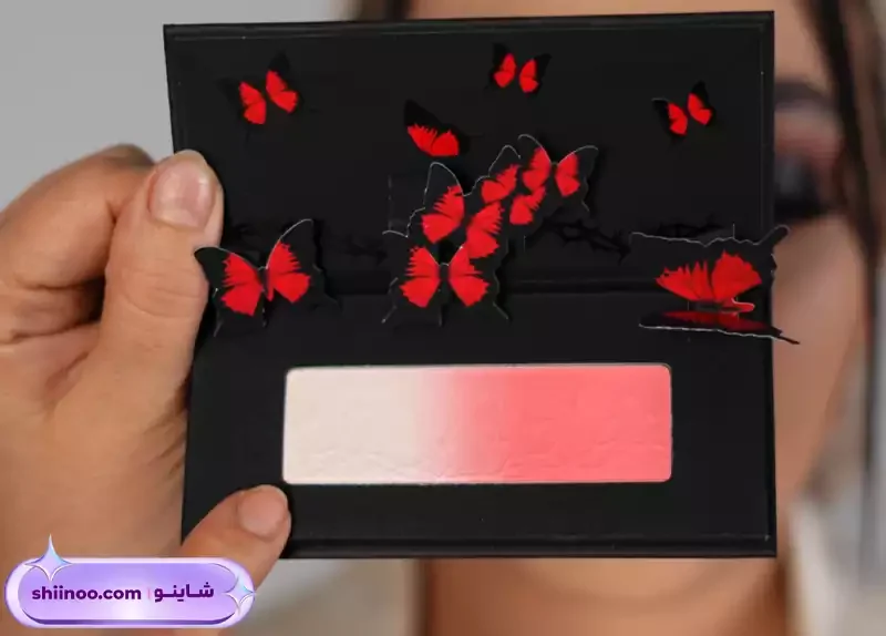 پالت هایلایتر و رژگونه پروانه شیگلم