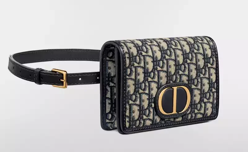 کیف آرایشی دیور Montaigne 2-in-1 Pouch