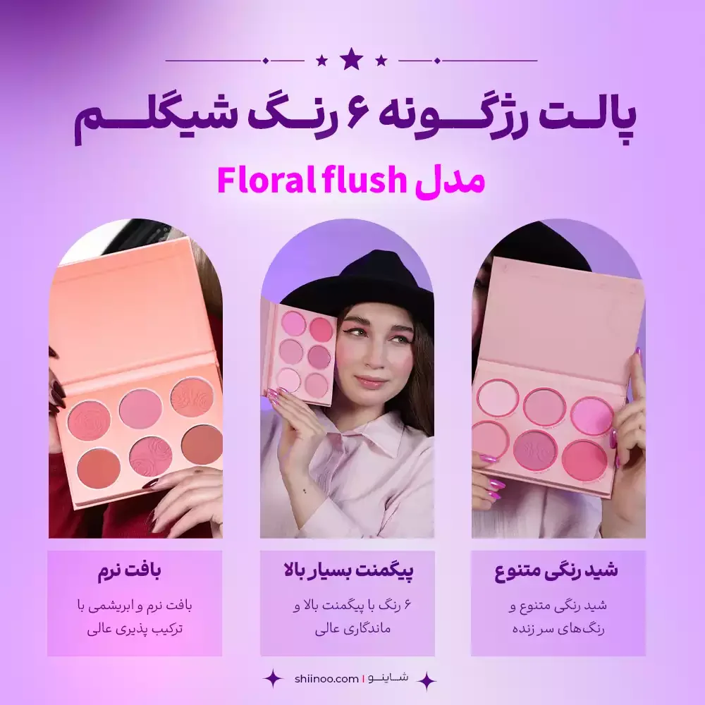 رژگونه 6 رنگ شیگلم
